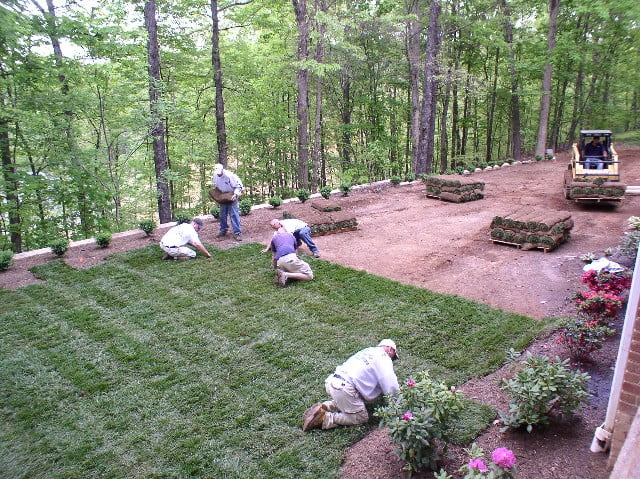 Sod Installation Lexington KY