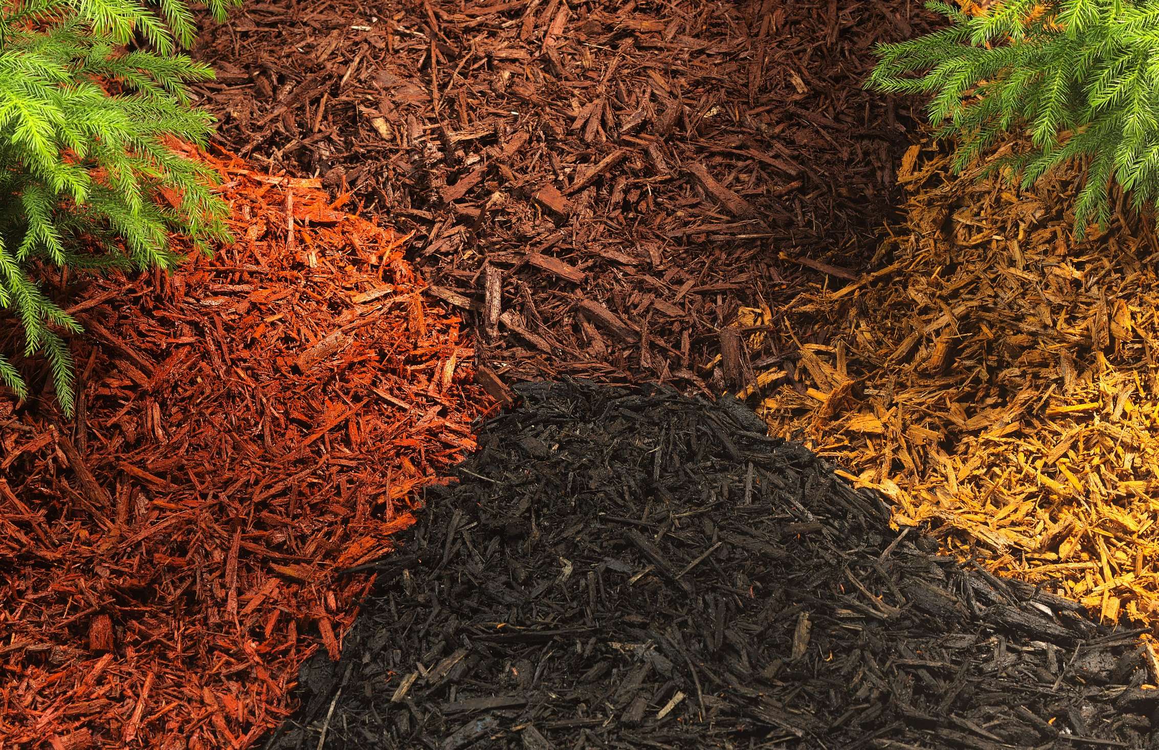 Image of Color Enhanced Mulch