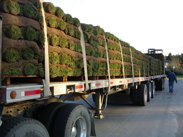 Sod Installation Deliver